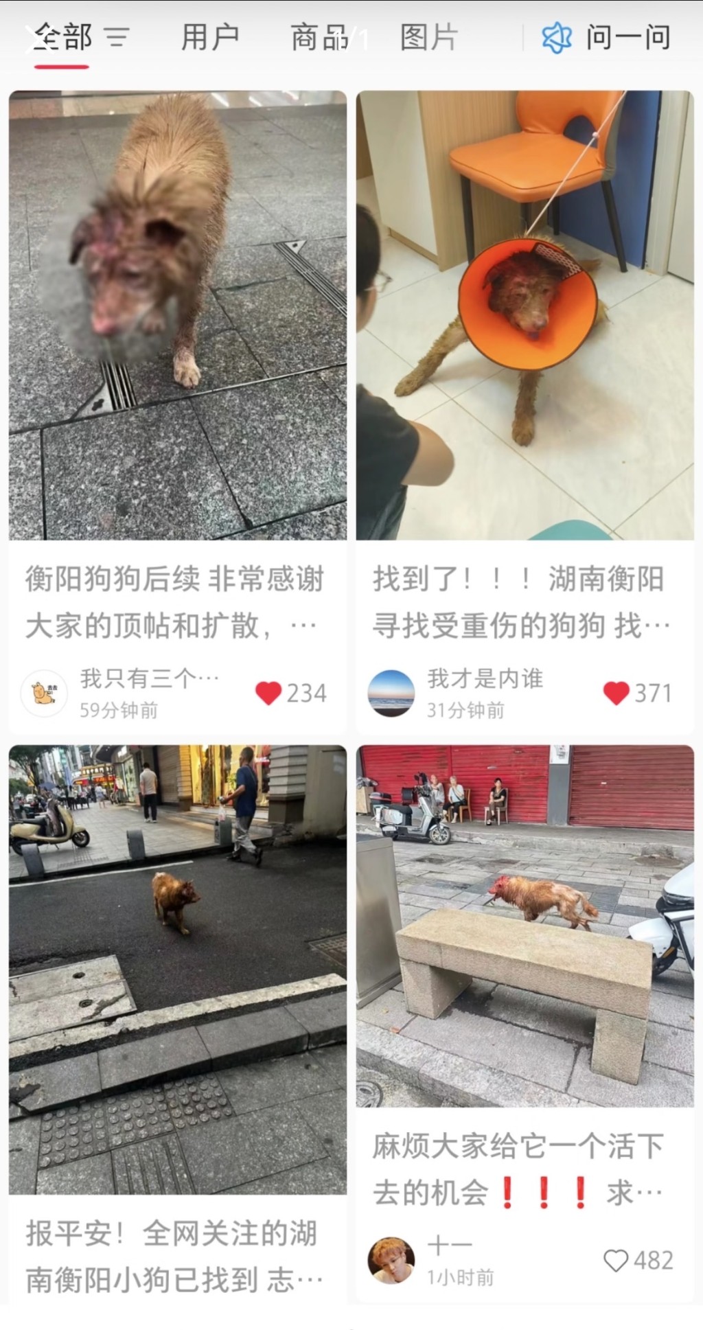 微博、小紅書全是受傷狗的帖子。