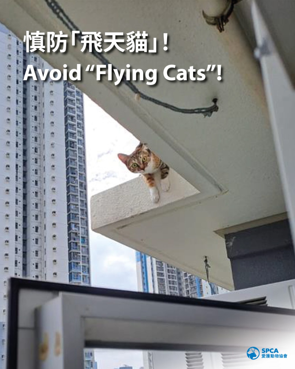 這種情況根本不應該發生!(愛協圖片) 這種情況根本不應該發生!(愛協圖片)