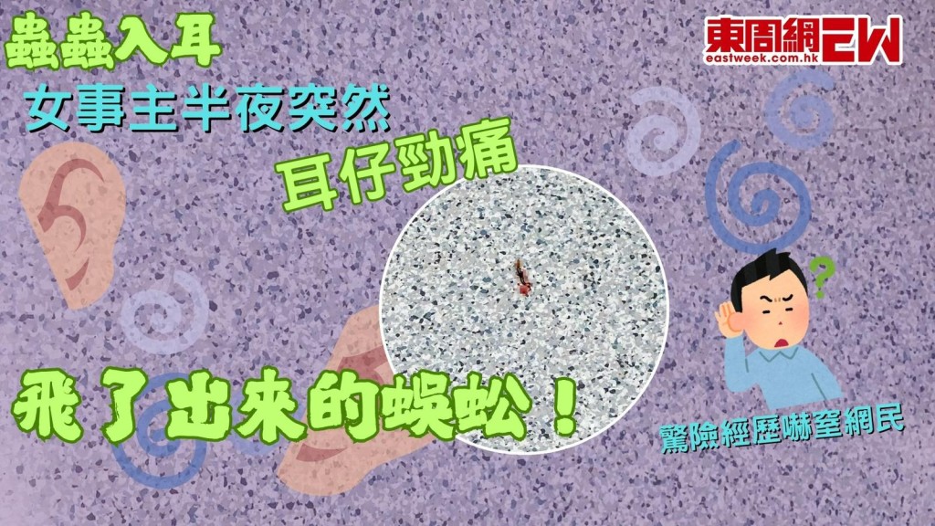蟲蟲入耳｜半夜突然耳仔勁痛 竟是疑似蜈蚣作怪！ 女事主驚險經歷嚇窒網民