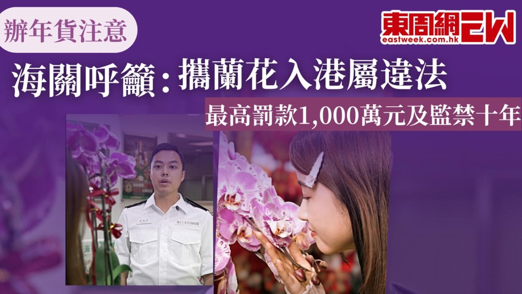 農曆新年將至，北上旅遊、探親、辦年貨需要注意，切記不要攜帶蘭花入港，香港海關呼籲，蘭花屬於瀕危物種，不可以帶返香港，在未領有許可證的情況下進出口蘭花，均屬違法。