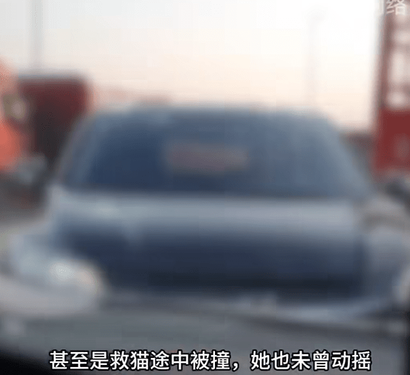 行動期間，她多次收到騷擾恐嚇電話，更曾在追蹤貓車途中，遭到販子開車蓄意撞擊，生命安全受到威脅。