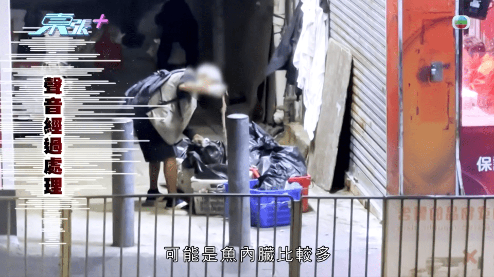 伯伯於慈雲山街市撿魚販丟棄的死魚。(圖片來源:《東張西望》) 伯伯於慈雲山街市撿魚販丟棄的死魚。(圖片來源:《東張西望》)