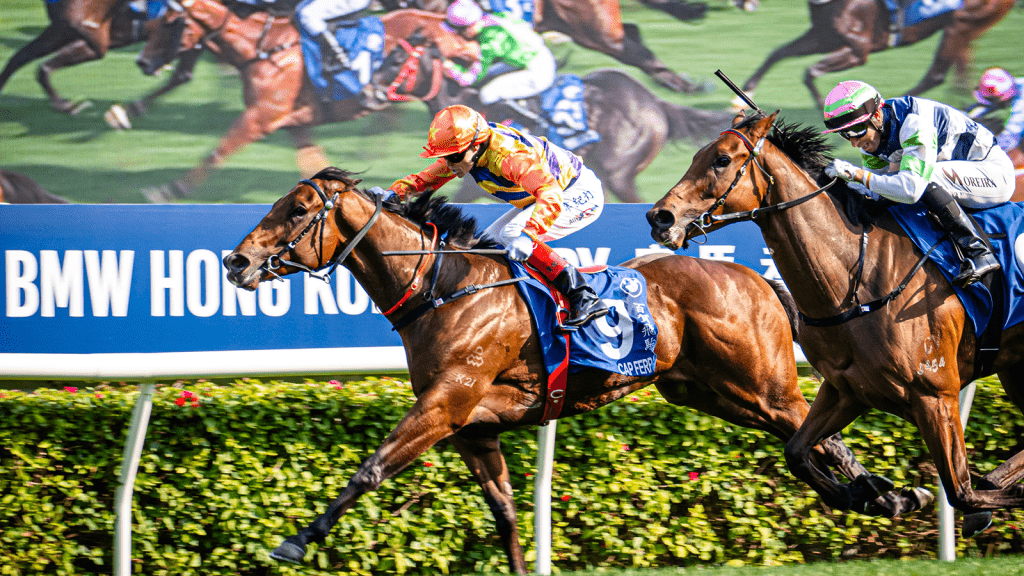 踏入馬年，香港賽馬會 (馬會) 推出馬年系列活動，一系列世界級賽馬、馬術比賽等活動將於馬年內陸續推出。