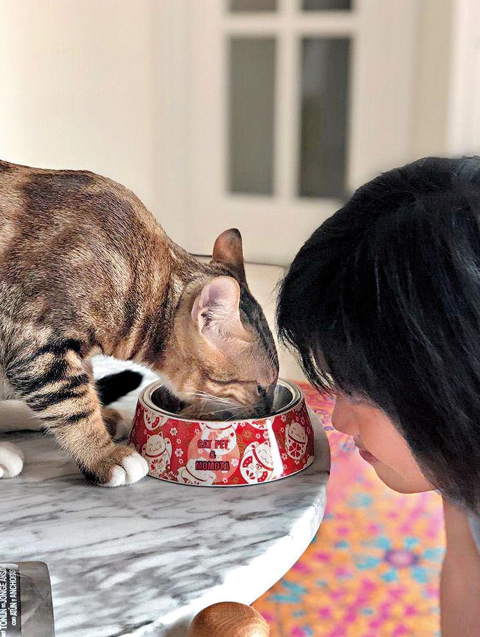 陳秀雯只生了一個孩子，她養了一隻貓陪伴女兒。