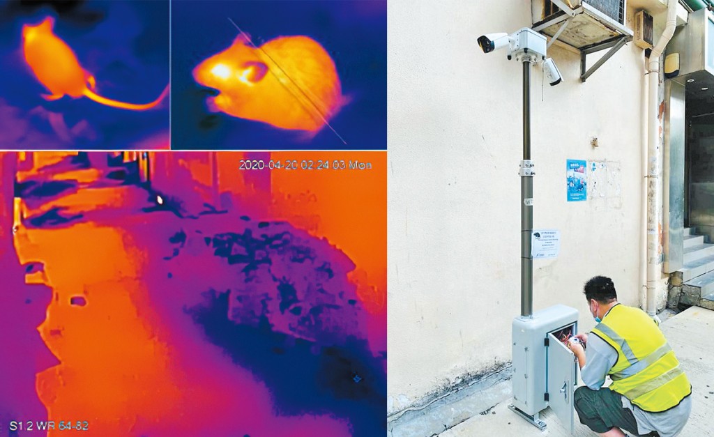 食環署由二○二四年起全面利用熱能探測攝錄機，在全港各區進行鼠隻活動調查。