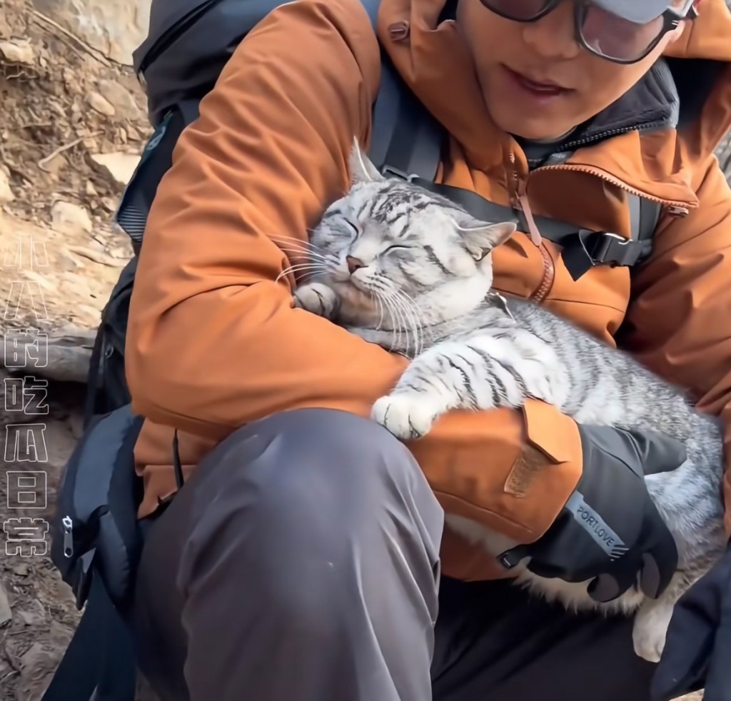 豆豆非常親人,任由遊人抱抱。 豆豆非常親人,任由遊人抱抱。