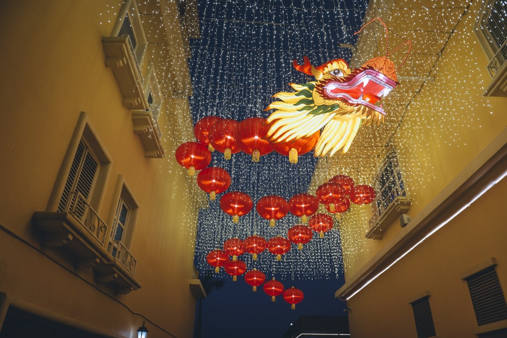 翔龍萬里花燈巷子