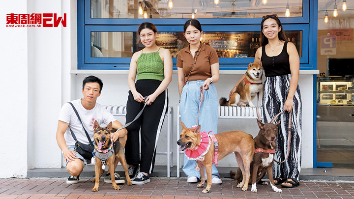 四位家長都說唐狗容易養,不易生病,但猩猩媽媽 Alvin(右二)說仍要預留足夠金錢來應付突如其來的意外,例如被其他狗咬。