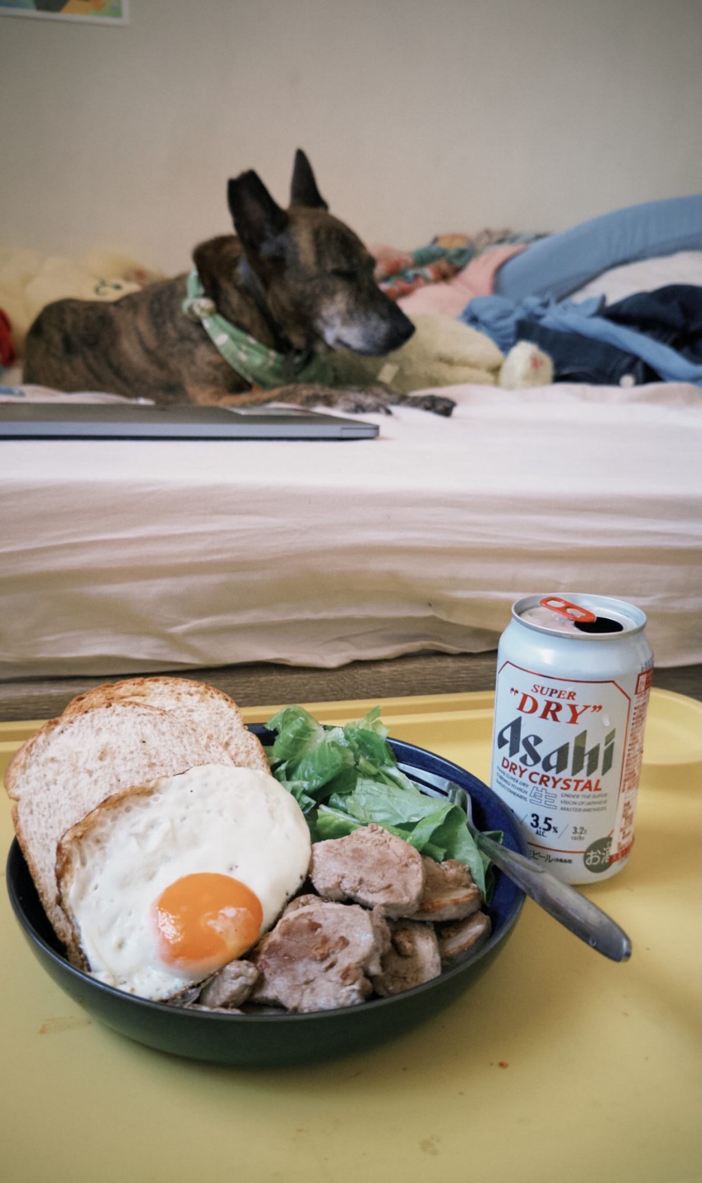 愛心姐姐家中有一隻狗。