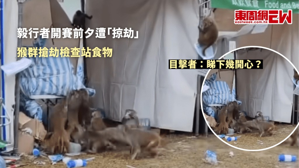 馬騮搶食|毅行者開賽前夕6號檢查站被「洗劫」 目擊者:睇下幾開心!