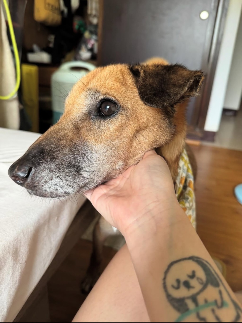 達利有清澈的眼神。