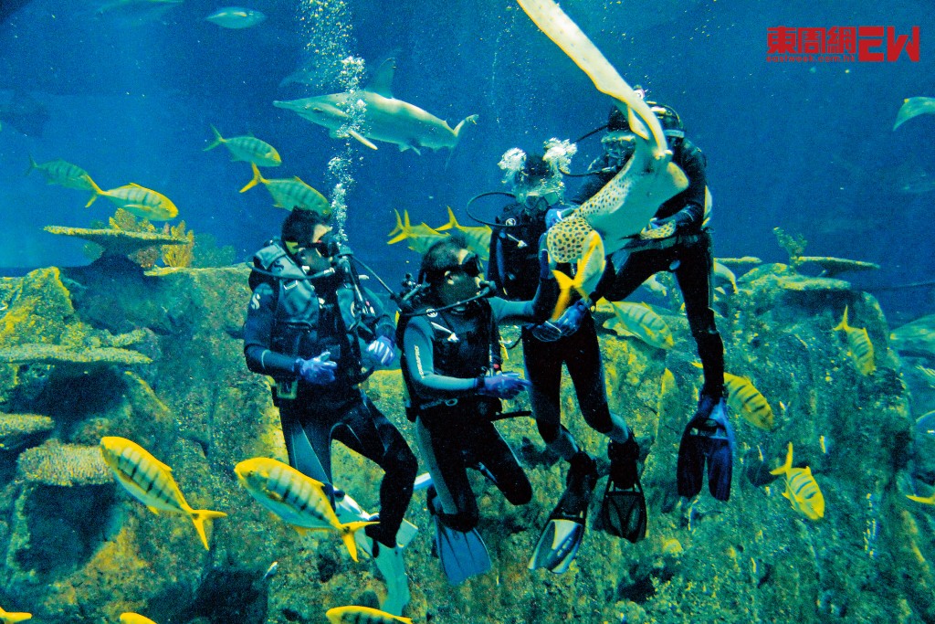 潛水是香港人外遊熱門活動，記緊做好安全措施免生意外。