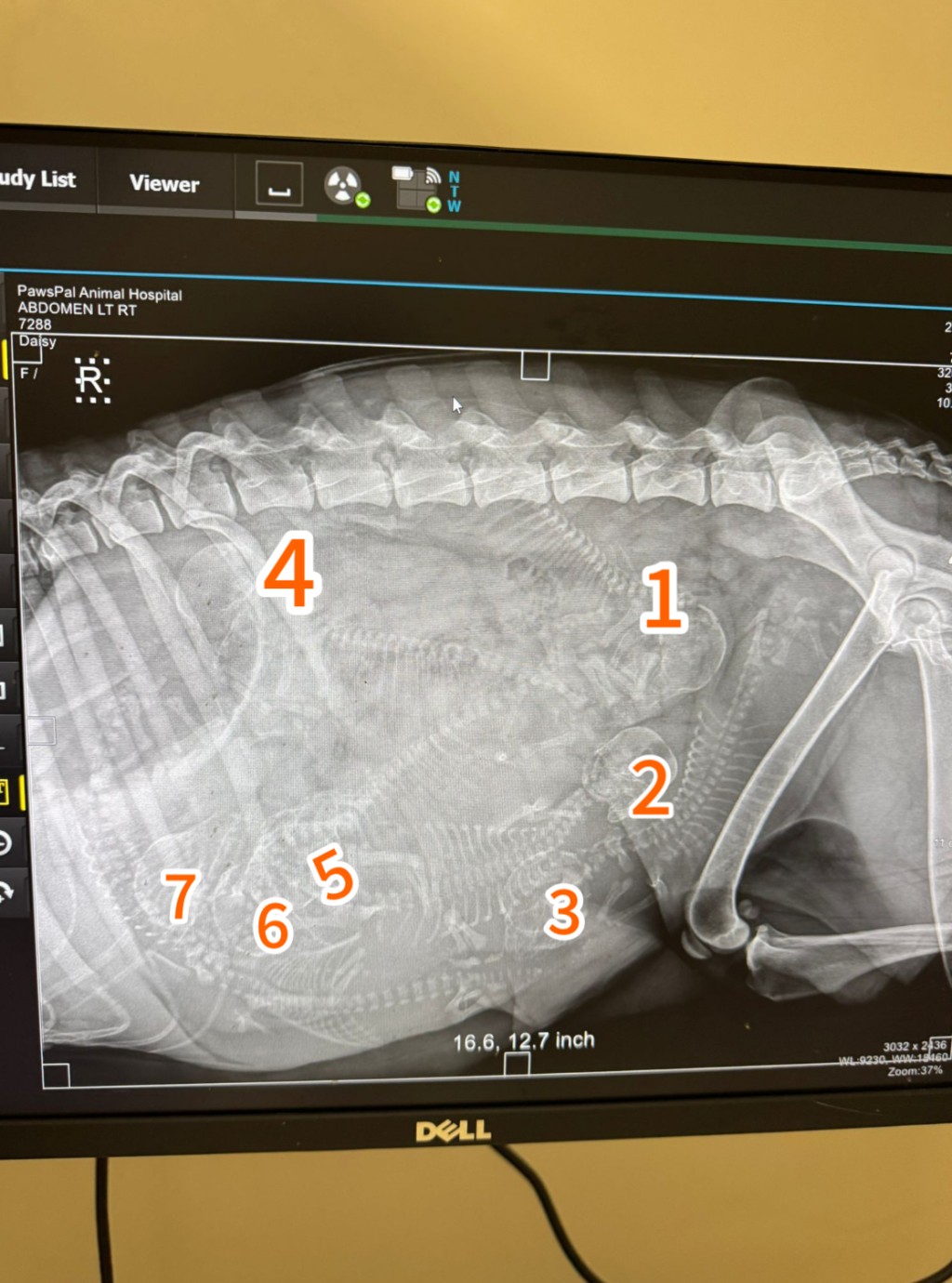 以防大家看不到，小編為大家加了寶寶記號。