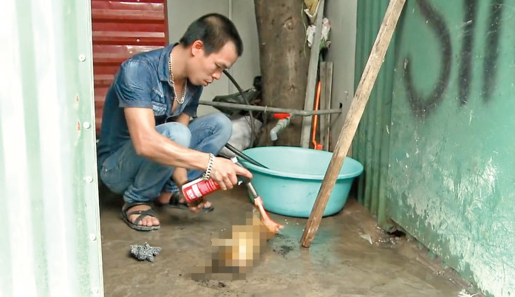 越南人傳統有食貓的習慣,據國際動物組織估計,每年在越南被屠殺食用的貓多達四百萬隻。 越南人傳統有食貓的習慣,據國際動物組織估計,每年在越南被屠殺食用的貓多達四百萬隻。