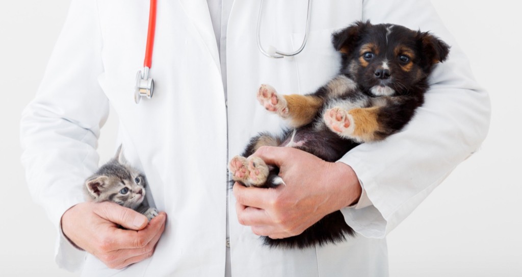 有些寵主就每月儲醫療基金備用。