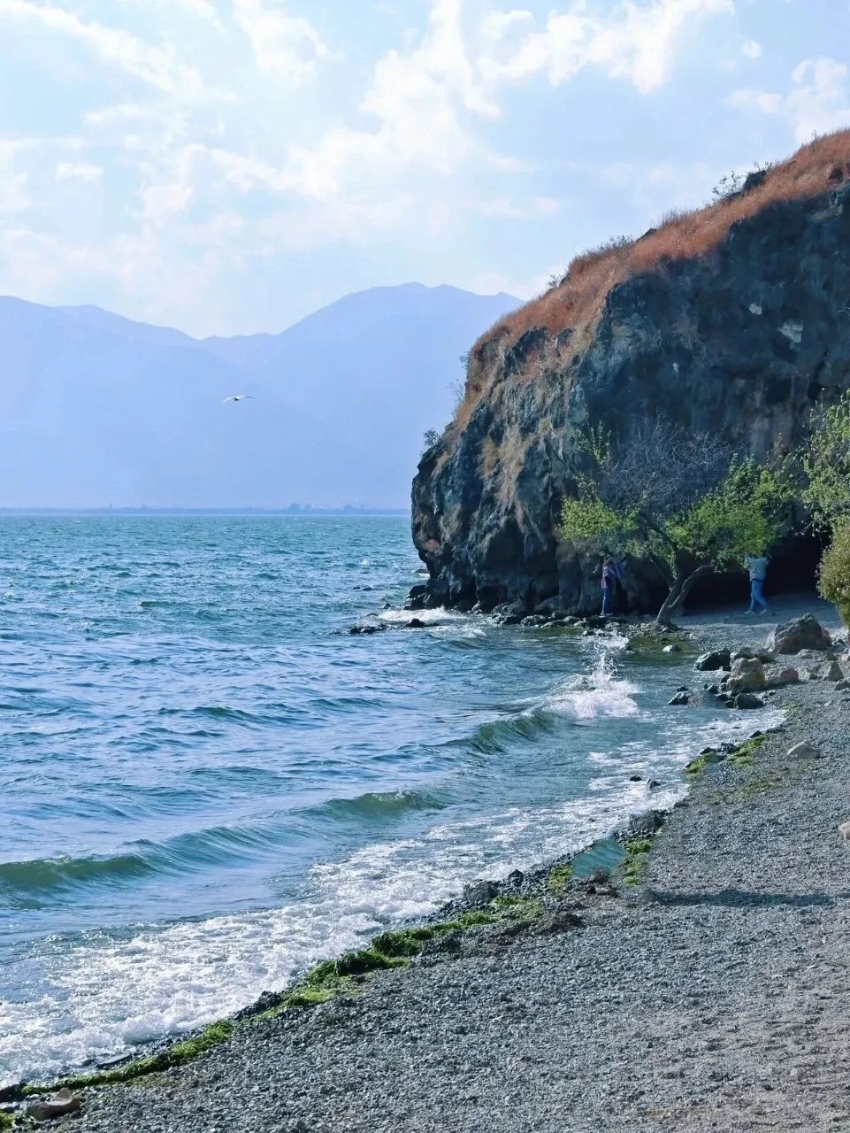  洱海東路（圖源：小紅書）