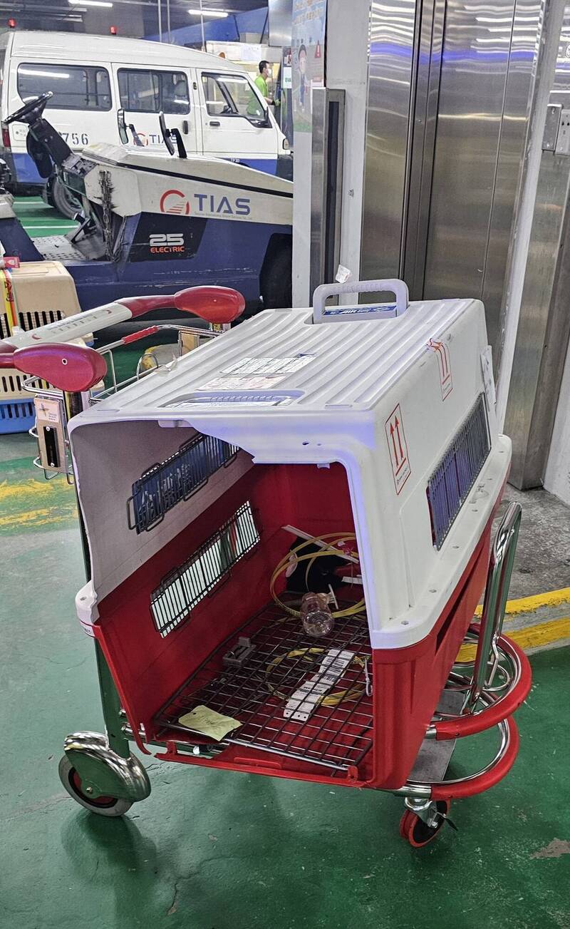 狗狗因躁動衝撞飛機籠,導致飛機籠滑下滾帶車造成受損,導致狗狗成功逃走。 狗狗因躁動衝撞飛機籠,導致飛機籠滑下滾帶車造成受損,導致狗狗成功逃走。