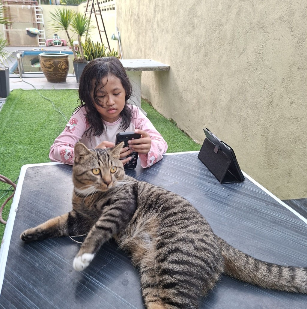 網民笑言要為診所提供貓保鏢服務，並且附上貓保鏢照片。