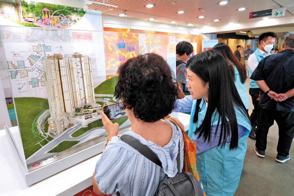 立法會議員、區議員、不同機構和「解說專隊」連月來先後安排了五次「睇樓團」。 立法會議員、區議員、不同機構和「解說專隊」連月來先後安排了五次「睇樓團」。
