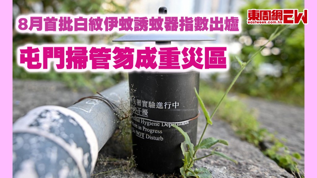 基孔肯雅熱｜8月首批白紋伊蚊誘蚊器指數出爐 屯門掃管笏成重災區