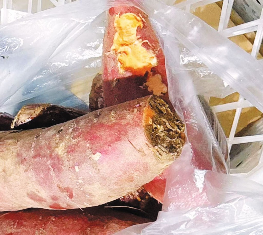 張小姐指店內的番薯疑被老鼠咬過。