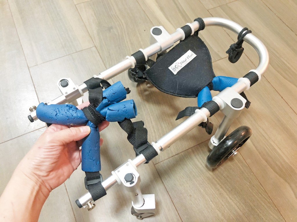 寵物輪椅必須由物理治療師評估後建議型號或訂製。