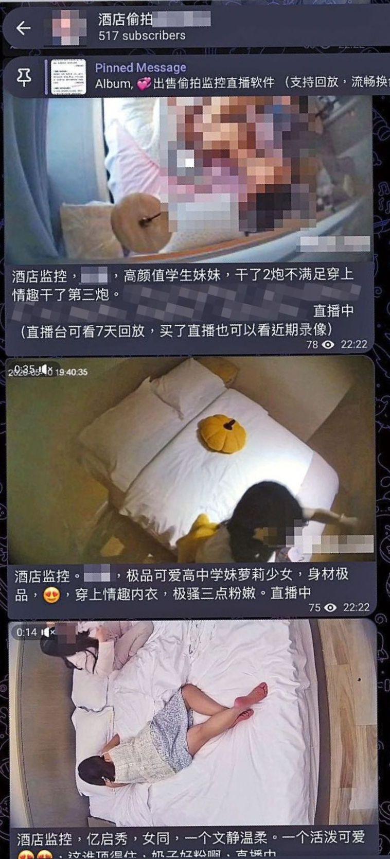 群組提供的「監控偷拍視角直播」系列，設有三個套餐，價錢介乎二百四十八至四百六十八元不等。