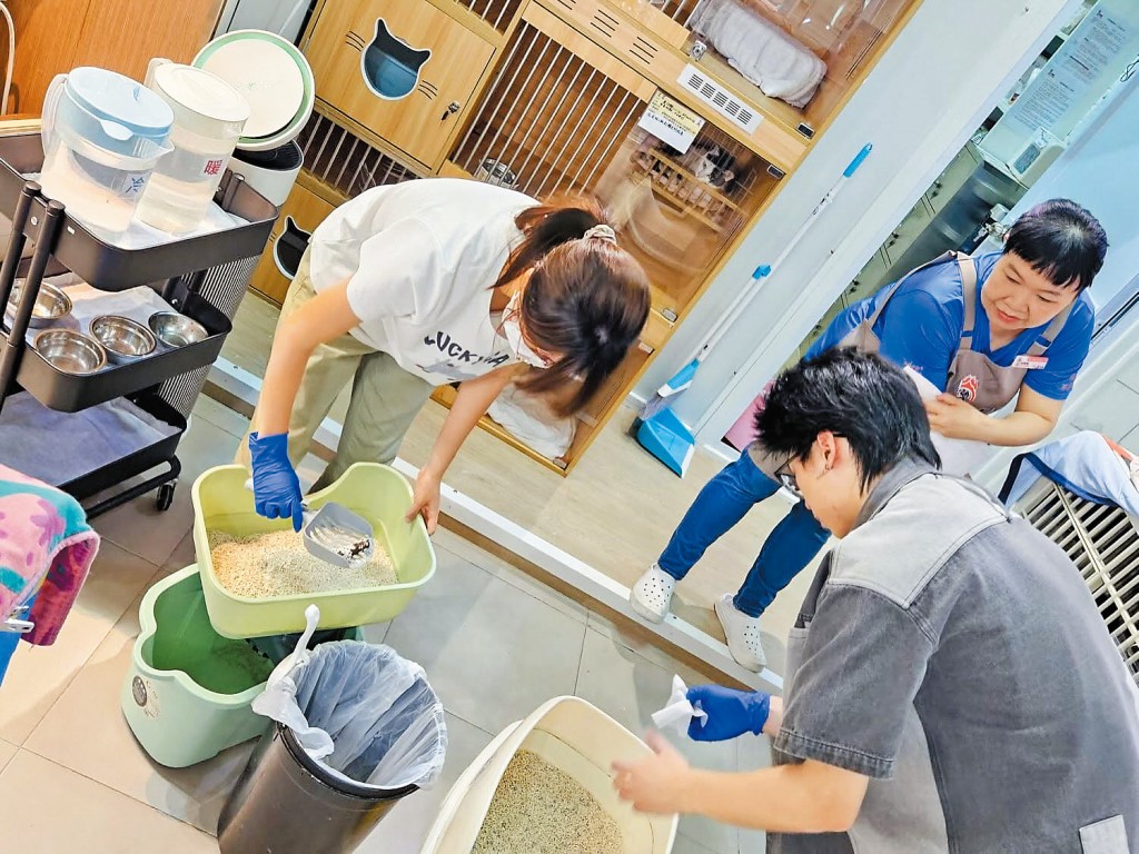 中學生透過實踐，學習寵物照料、護理等前線工作。