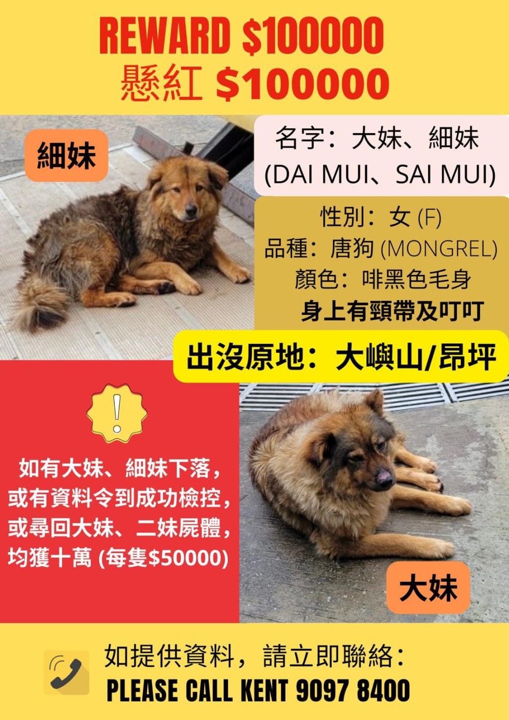 「毛守救援」懸賞尋狗。 「毛守救援」懸賞尋狗。