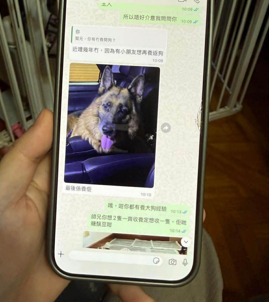 鄭太與領養人溝通時，對方指有養大狗經驗。