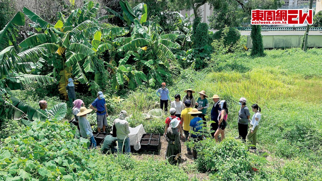 其中一項永續生活研習班活動，是讓學員落手落腳學習有機耕種。