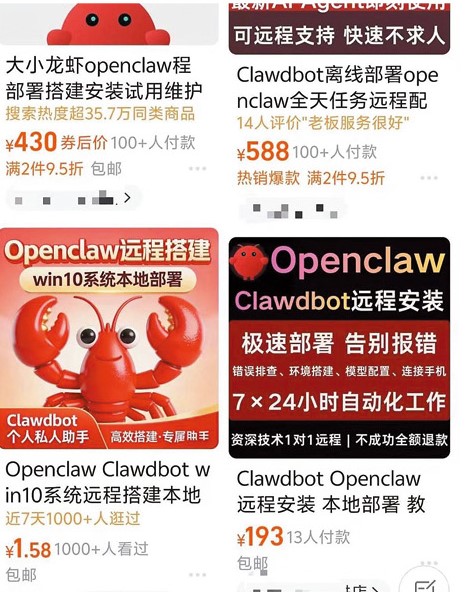 內地《小紅書》上出現不少收費裝小龍蝦服務。