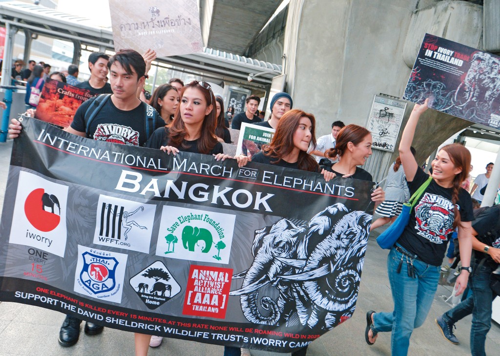 曼谷街頭時有動物保護組團示威，要求政府正視大象權益及作出保護。