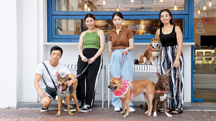 四位家長都說唐狗容易養,不易生病,但猩猩媽媽 Alvin(右二)說仍要預留足夠金錢來應付突如其來的意外,例如被其他狗咬。 四位家長都說唐狗容易養,不易生病,但猩猩媽媽 Alvin(右二)說仍要預留足夠金錢來應付突如其來的意外,例如被其他狗咬。