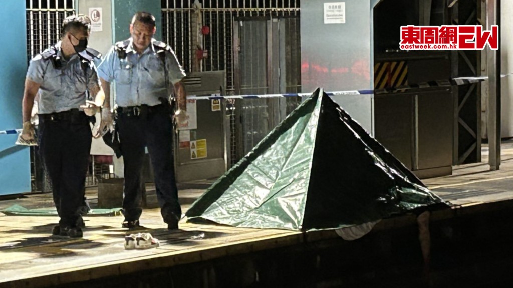 大學站恐怖意外｜20歲男月台邊遭列車撞斃  頭殘缺肉塊散落地上