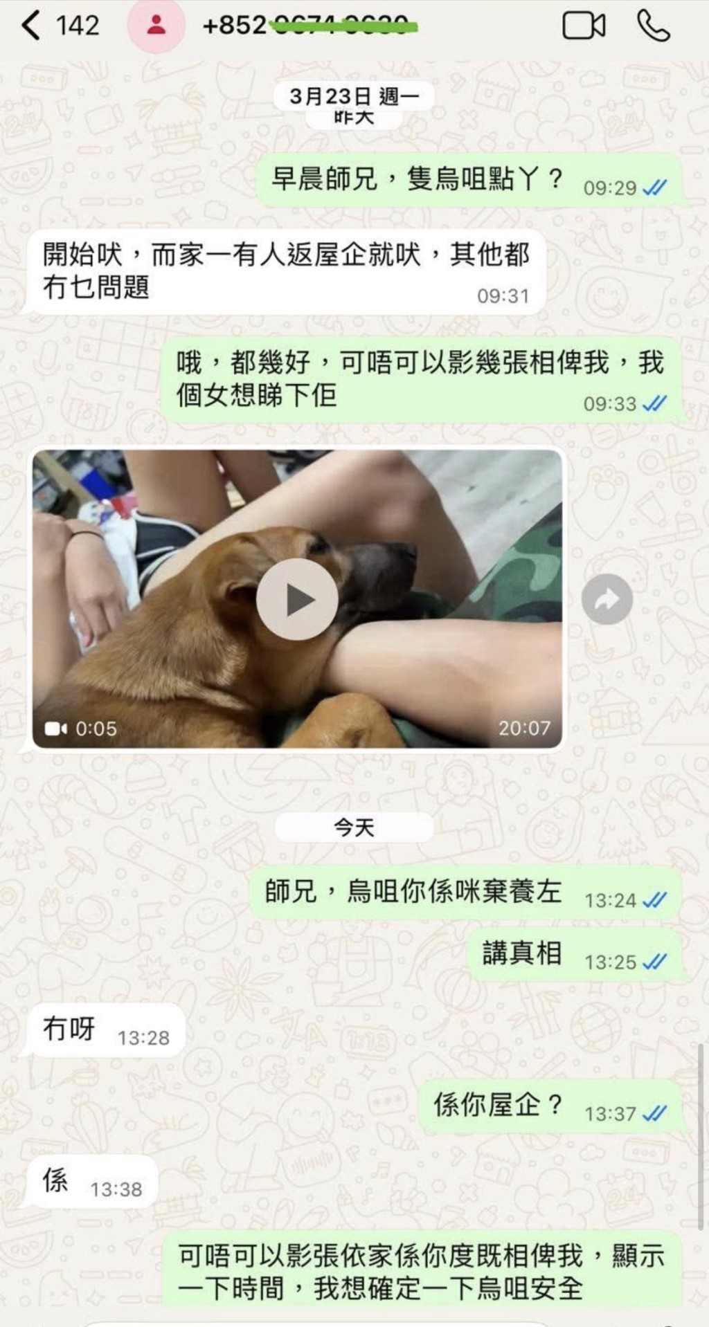 鄭太在烏咀獲救後向領養人查問狗狗情況，對方竟稱烏咀在他家。