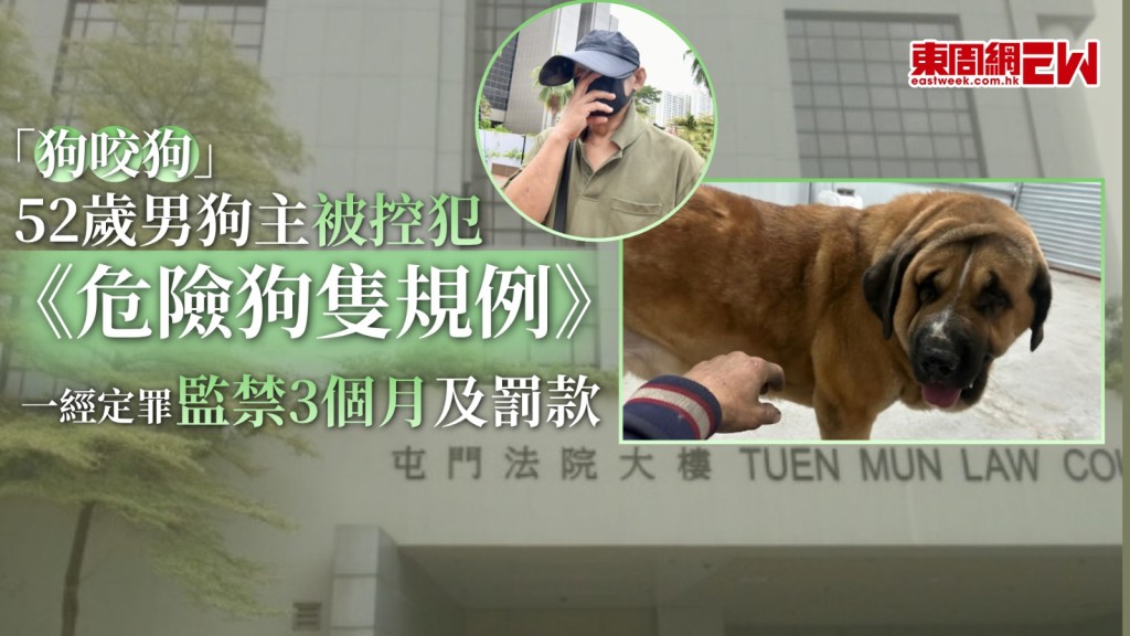 日前元朗發生「狗咬狗」慘劇，1隻混種西班牙藏獒「拉里」在半小時內先後咬死2隻細狗，52歲男狗主伍瑞庭今早於屯門裁判法院首次提堂，被控2項《危險狗隻規例》 下的容受大型狗隻進入或留在公眾地方罪。被告暫准毋須答辯，押後至10月29日再訊，期間獲准以現金3000元保釋，期間不得離港。