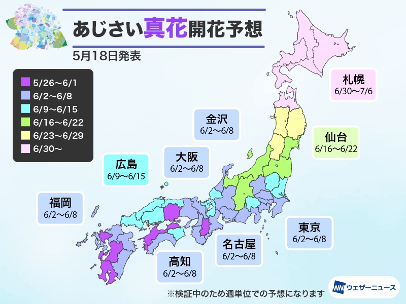2025 年日本繡球花花期預測 2025 年日本繡球花花期預測