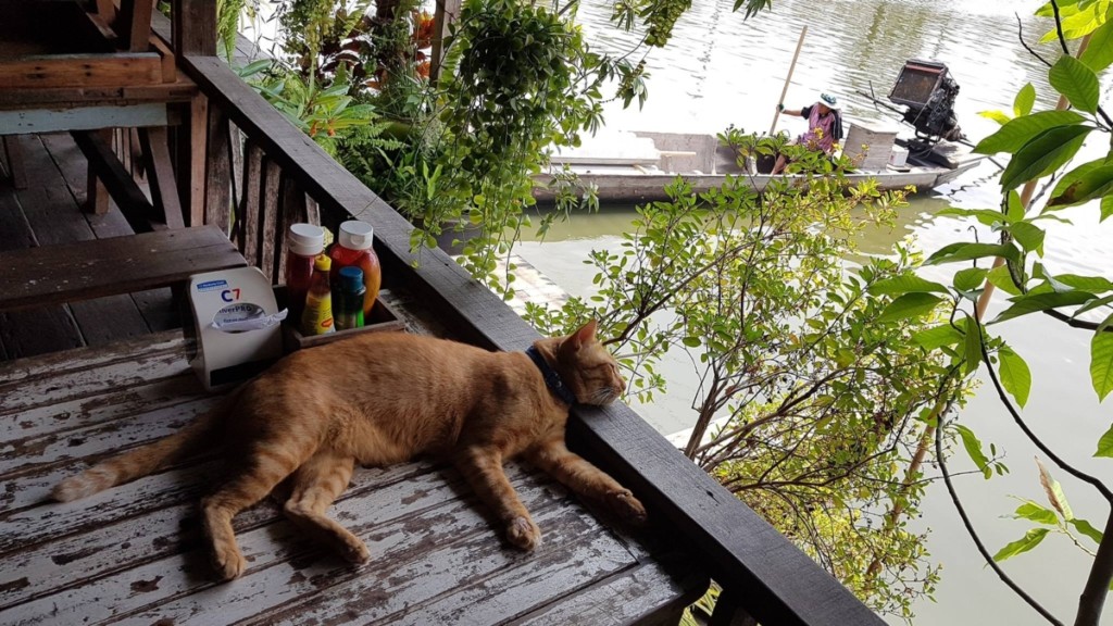 Si Yaek Huatakhe Café & Guesthouse Si Yaek Huatakhe Café & Guesthouse