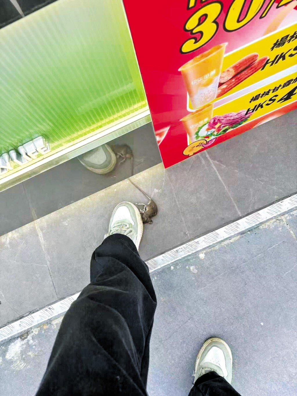 張小姐試過在營業時間內，老鼠在她腳邊經過，被她踩住。