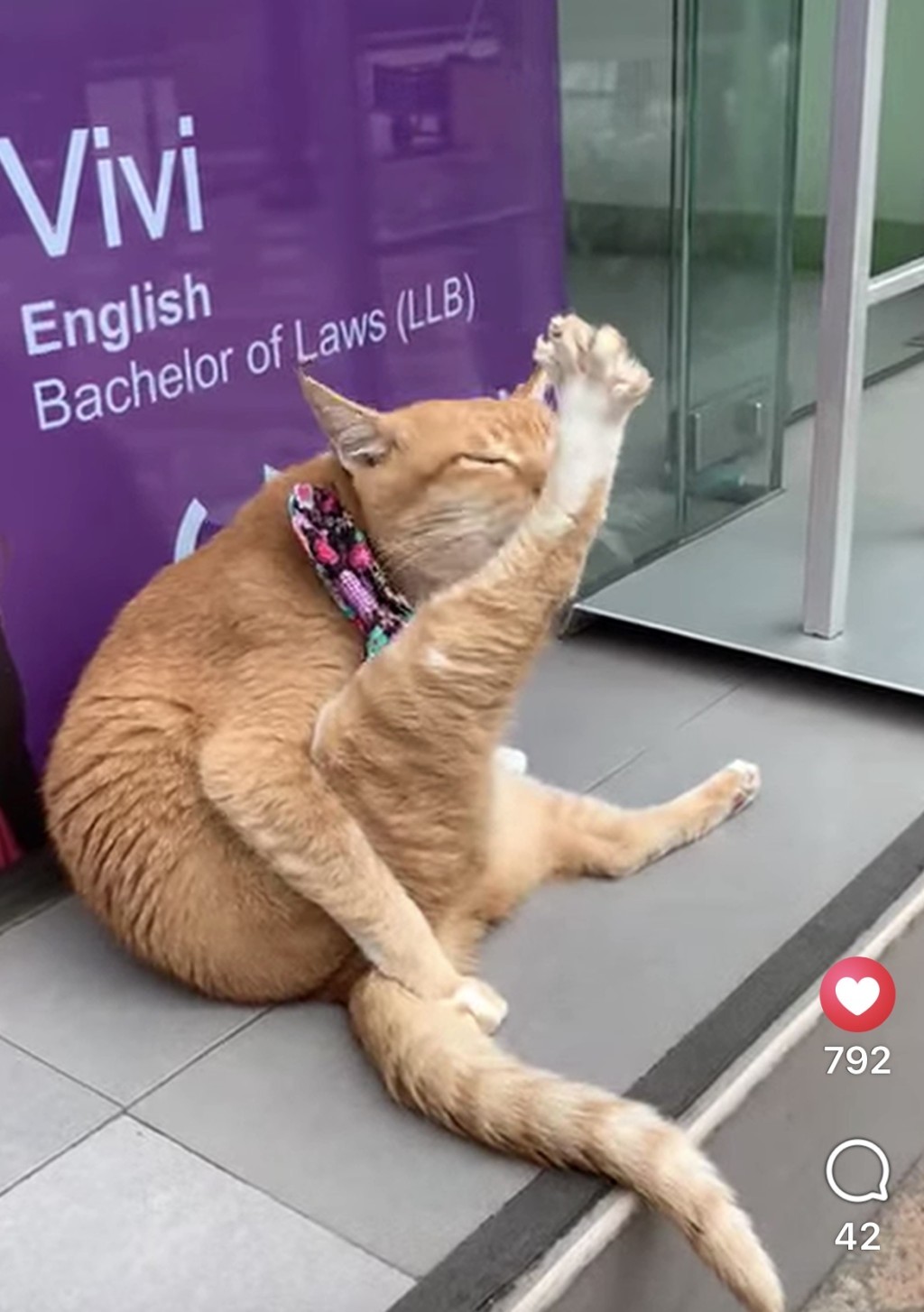 最愛在補習社門口打躉。 最愛在補習社門口打躉。