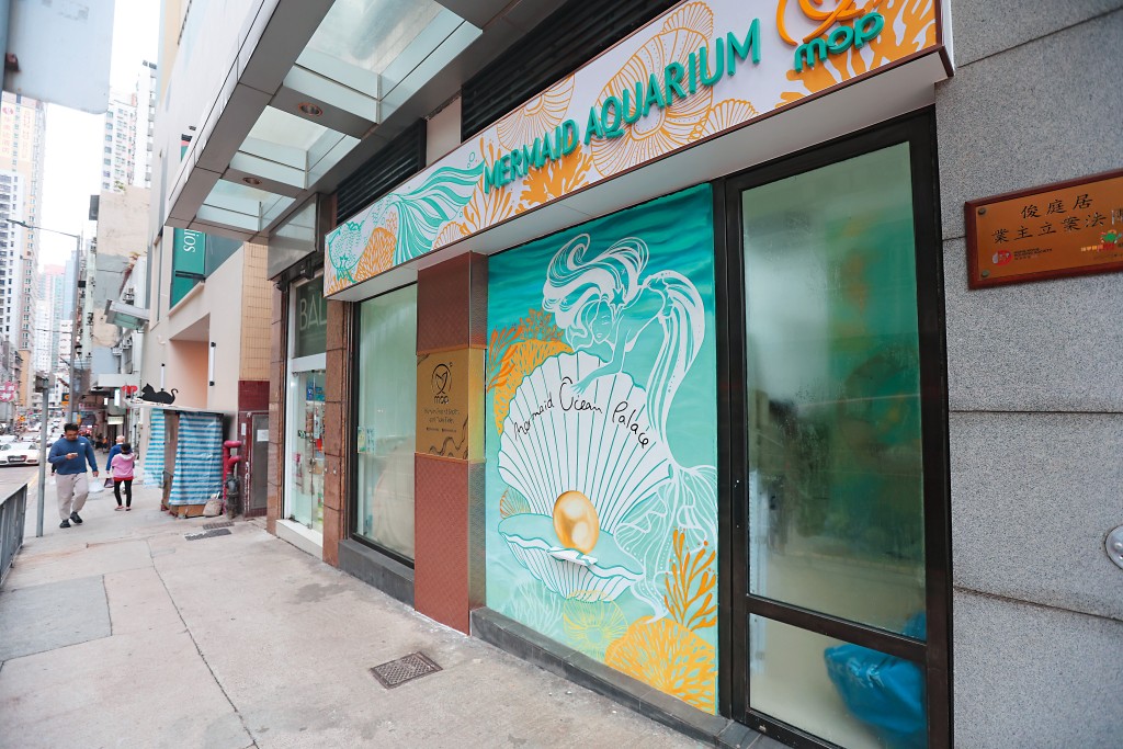 美人魚水族館設於西營盤，該地舖勝在樓底高，能夠設置到兩米深的水池。