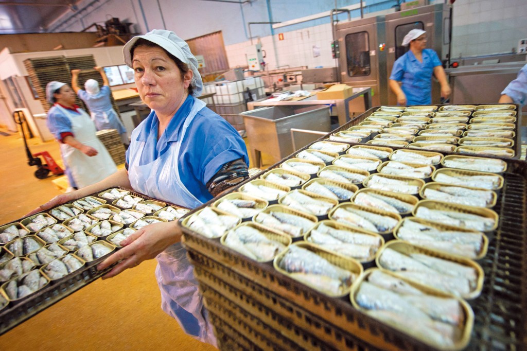 「窮人恩物」罐頭魚被視為蛋白質豐富、更有性價比,在美國銷量近年急升。 「窮人恩物」罐頭魚被視為蛋白質豐富、更有性價比,在美國銷量近年急升。