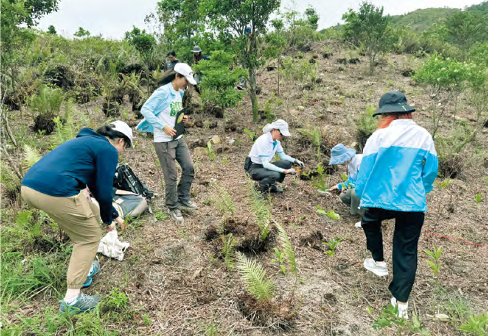 「離島區健康城市植樹節－綠色大嶼」活動，除了安排參加者免費乘搭纜車到植樹地點，亦招聘了公司義工一同參與植樹和及後紀錄樹苗生長情況的工作。