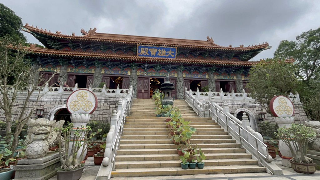 大妹和細妹本於寶蓮禪寺內及外面的空地生活。 大妹和細妹本於寶蓮禪寺內及外面的空地生活。