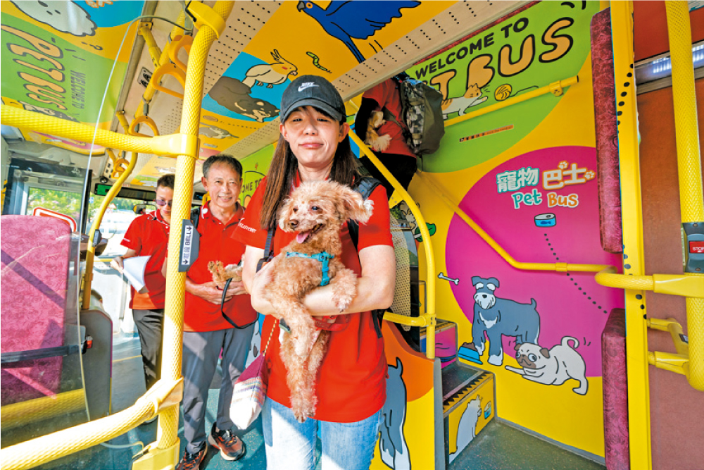 九巴深信寵物與人類有平等出行權利，安排「寵物巴士」與阿棍屋合作，帶同年長狗狗出遊，讓牠們留下美好回憶。