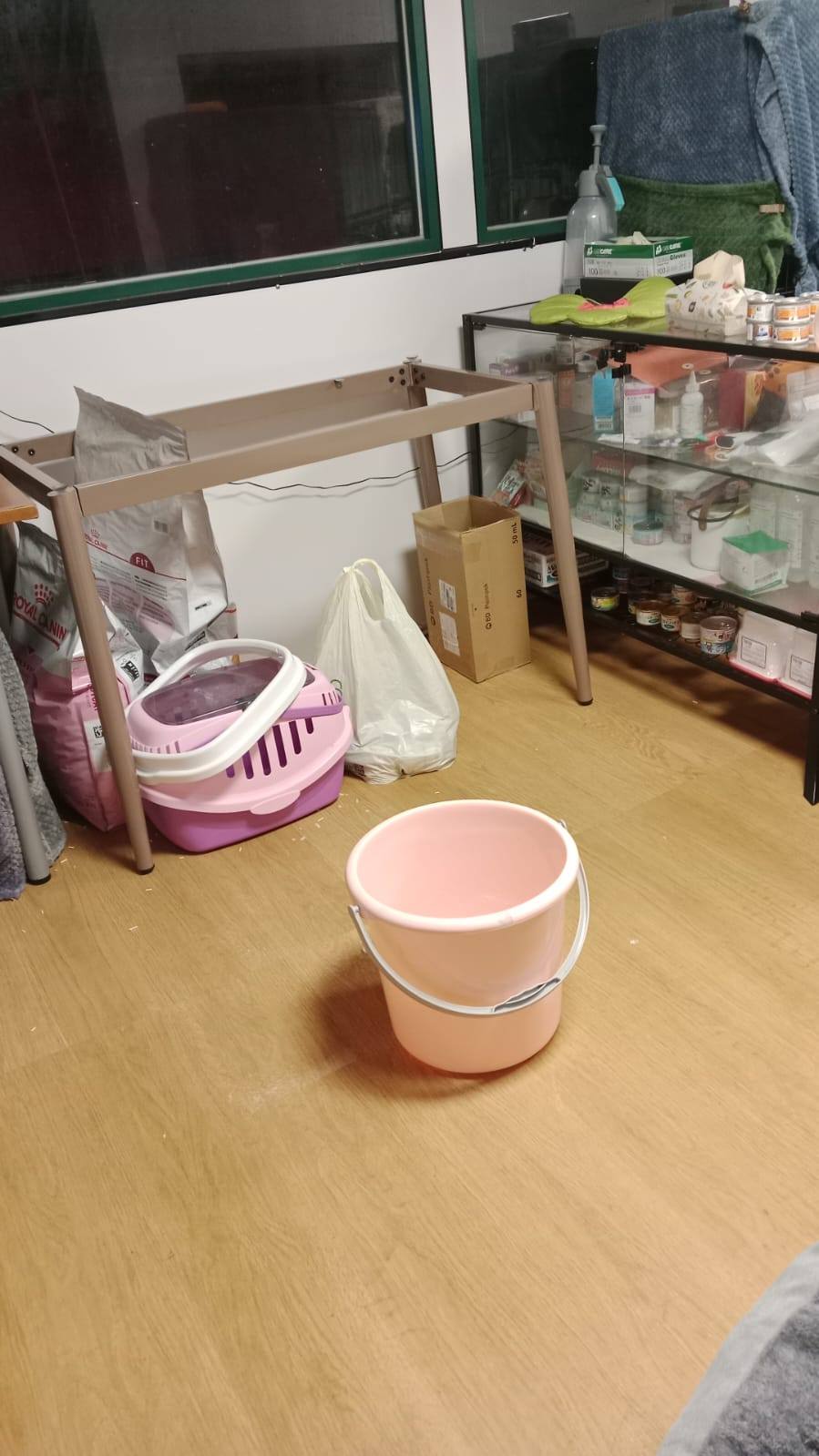 小玉谷用水盆和尿墊來處理漏水。