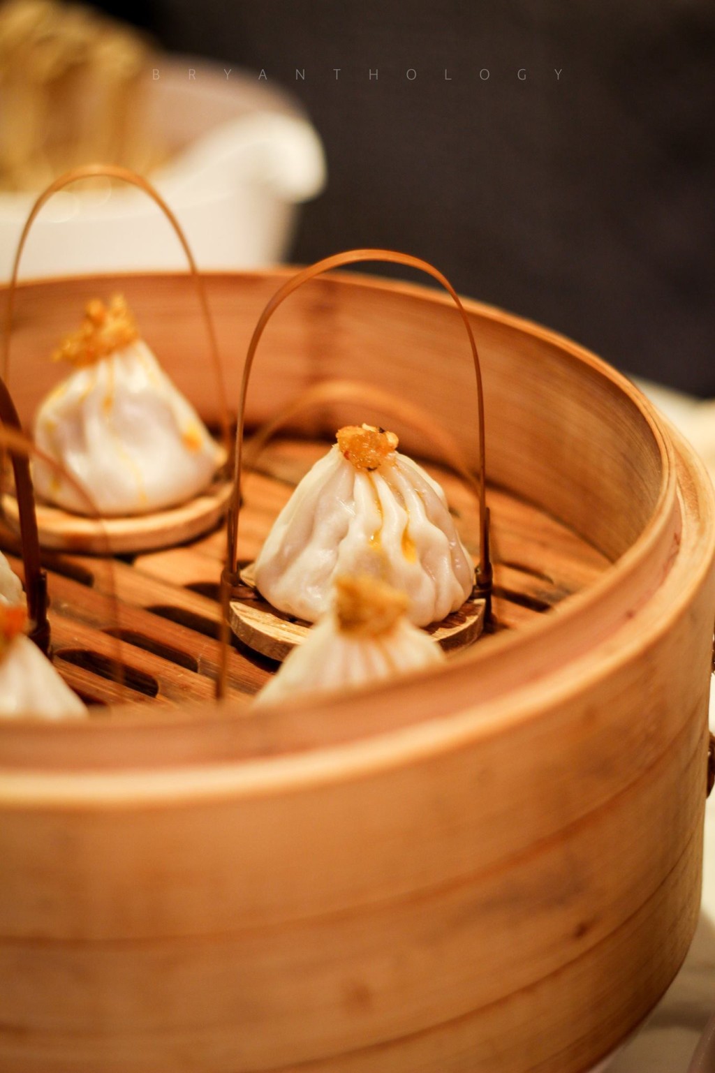 南小館是上海小南國旗下的品牌,人氣菜式有如鮮肉小籠包、鹹肉菜炒飯、上海粗炒、黑松露蘑菇包等 南小館是上海小南國旗下的品牌,人氣菜式有如鮮肉小籠包、鹹肉菜炒飯、上海粗炒、黑松露蘑菇包等