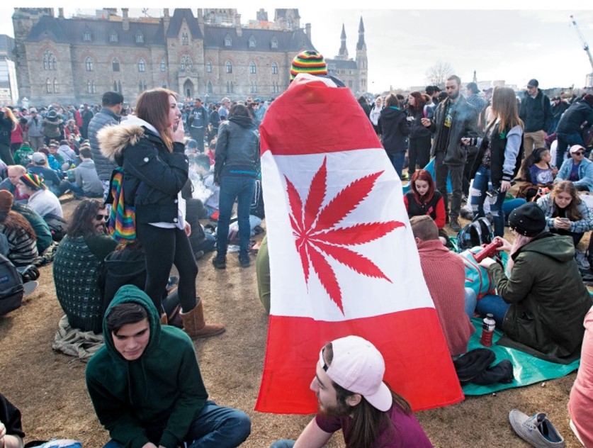 為了增加稅收，加拿大將大麻合法化後，吸毒過量死亡人數飆升近四成。