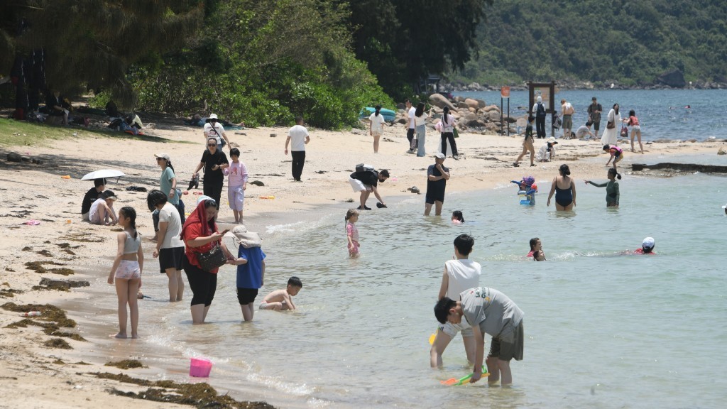 橋咀洲踩珊瑚、捉海膽亂象頻生，環境局加強執法，籲遊人愛護自然